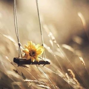 Meet your Posher, Staci